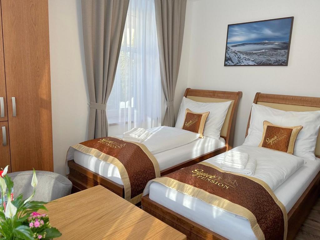 Synek Pension Špindlerŭv Mlýn Dış mekan fotoğraf